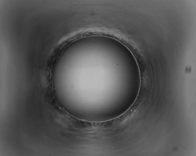 X0000102531494200808081438