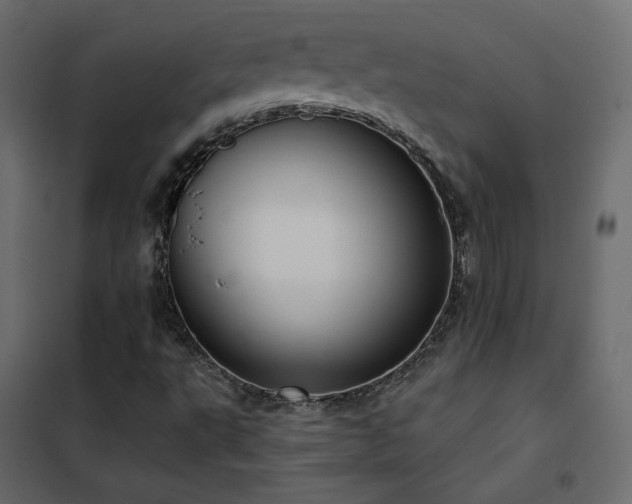 X0000102531495200808081438
