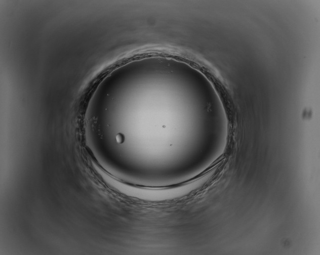 X0000102531496200808081439
