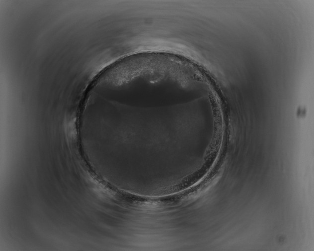 X0000102531497200808081439