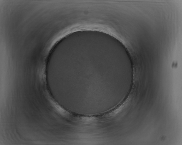 X0000102531498200808081439