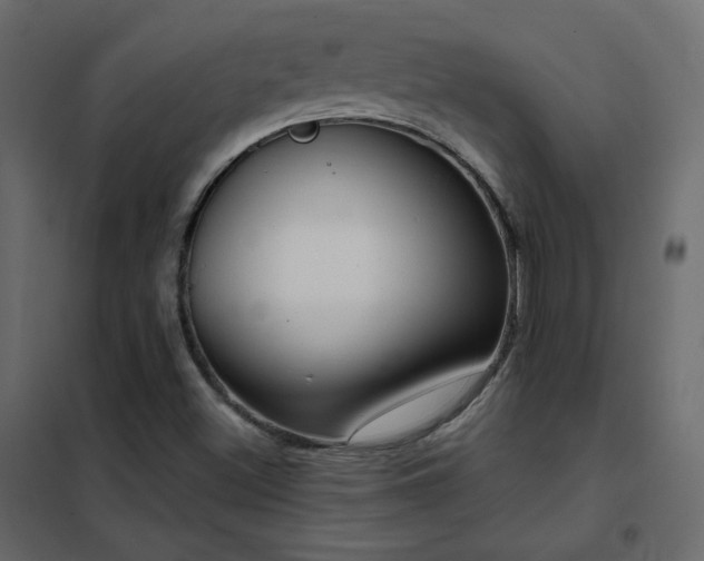 X0000102531500200808081439
