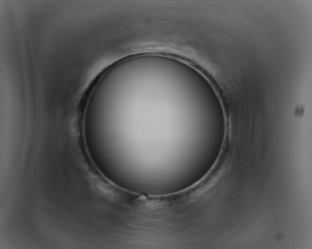 X0000102531501200808081439