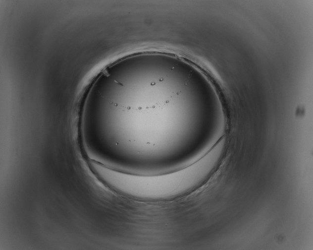 X0000102531504200808081439