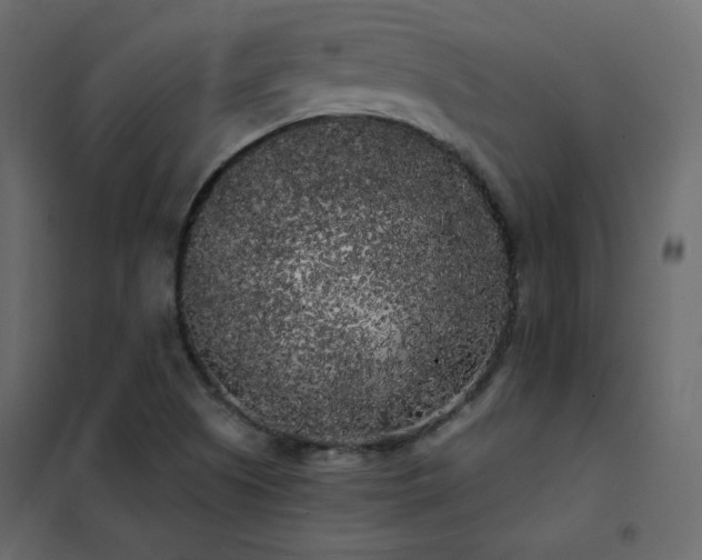 X0000102531505200808081439