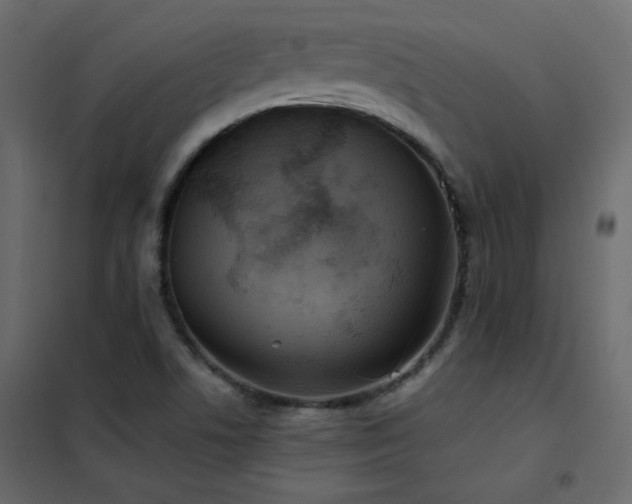 X0000102531506200808081439