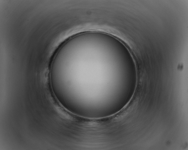 X0000102531507200808081439
