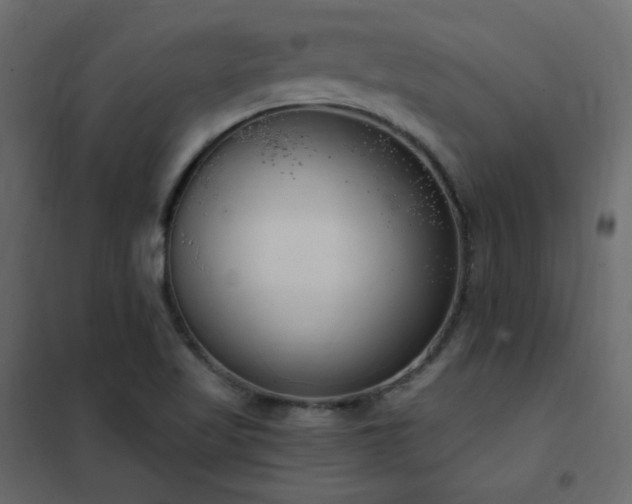 X0000102531509200808081439
