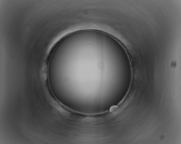 X0000102531510200808081439