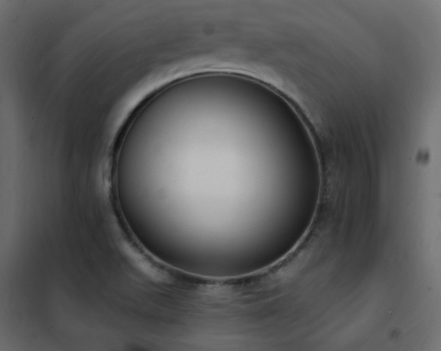 X0000102531511200808081439
