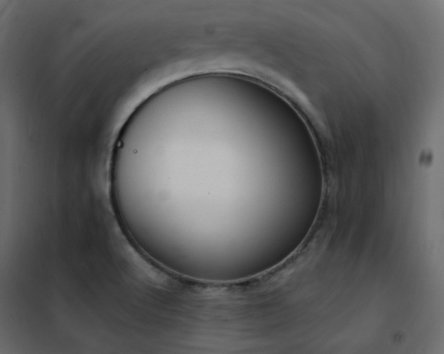 X0000102531512200808081439