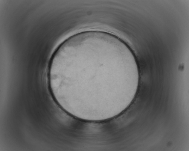 X0000102531514200808081439