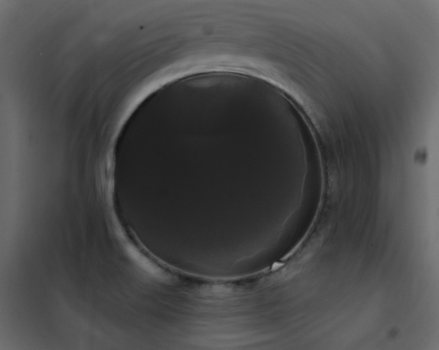 X0000102531515200808081439