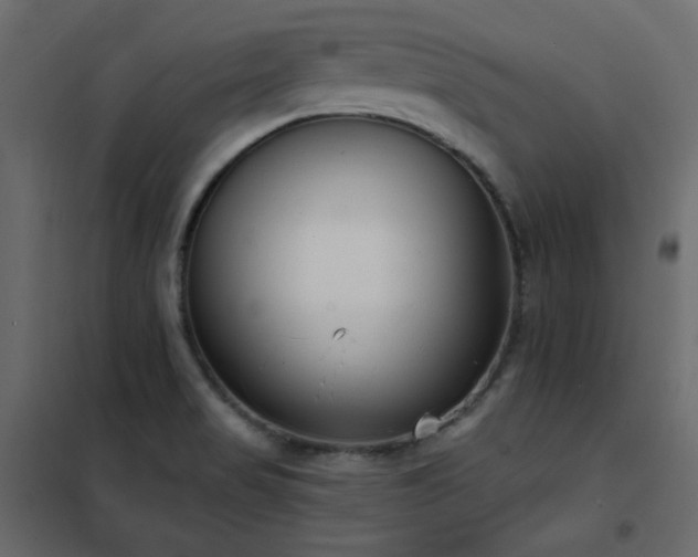 X0000102531517200808081439