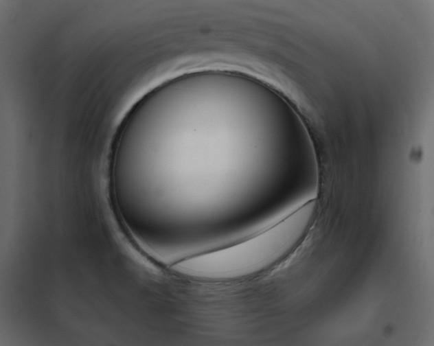 X0000102531518200808081439