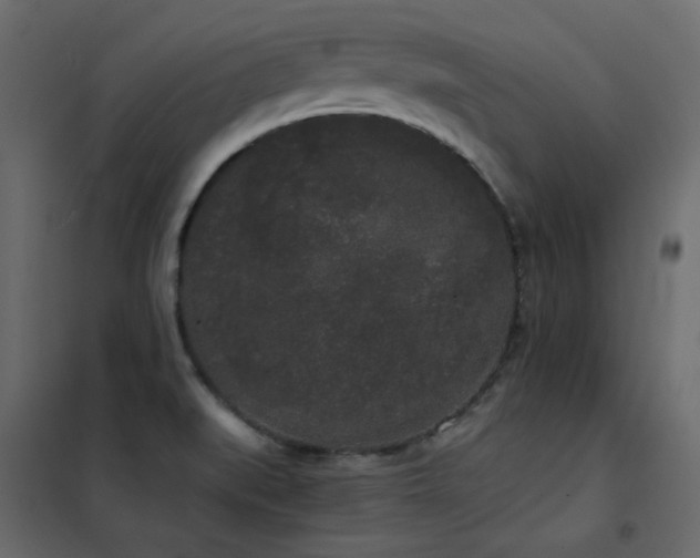 X0000102531519200808081439