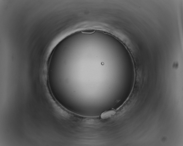X0000102531520200808081439