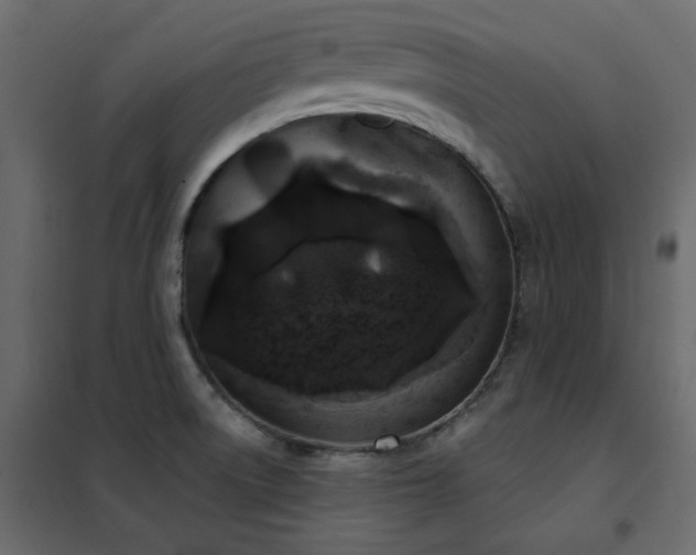 X0000102531522200808081439