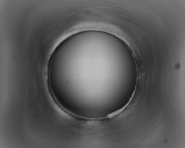 X0000102531523200808081439