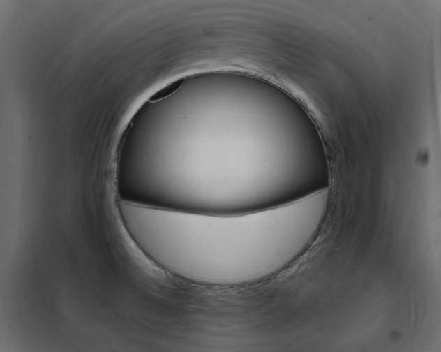 X0000102531524200808081439