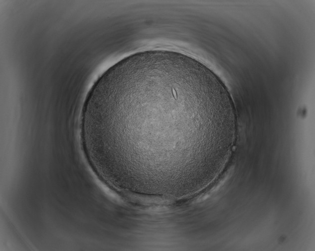 X0000102531525200808081439