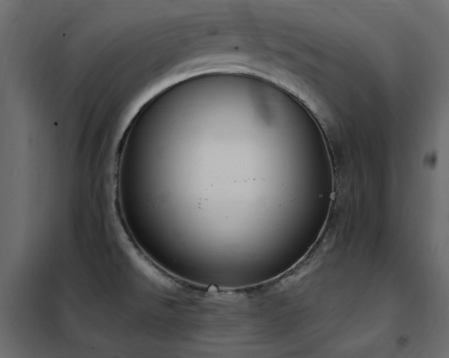 X0000102531526200808081439