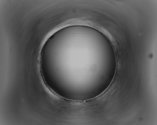X0000102531528200808081439