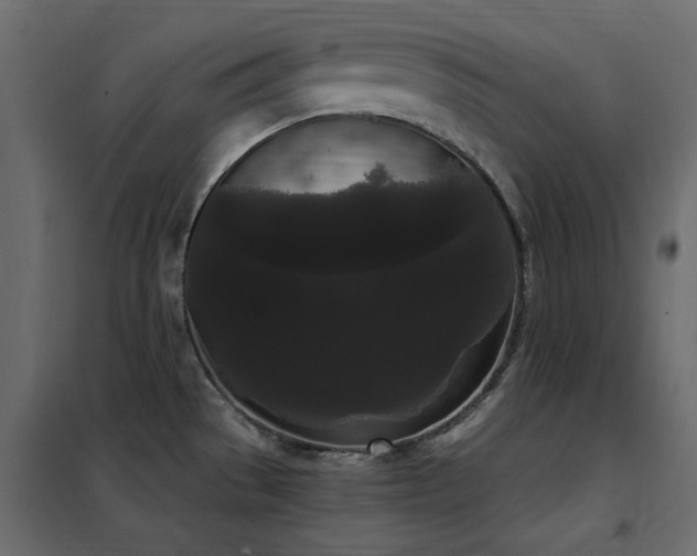 X0000102531529200808081439