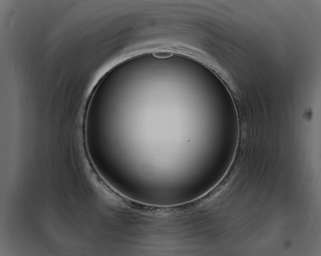 X0000102531530200808081439