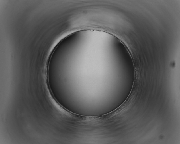 X0000102531531200808081439