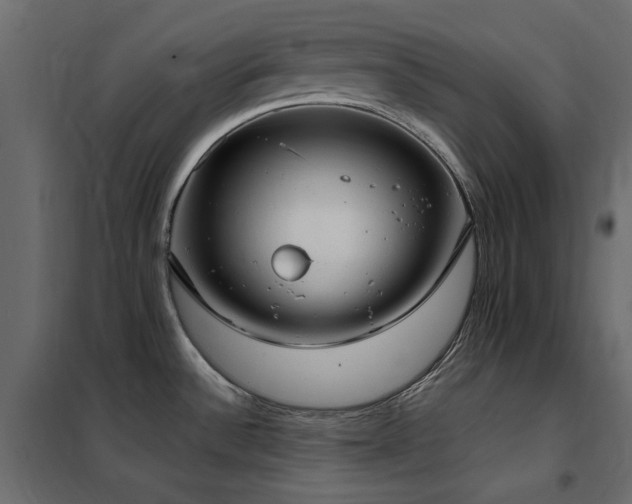 X0000102531532200808081439