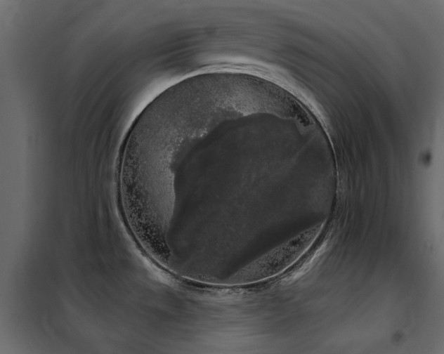 X0000102531533200808081439