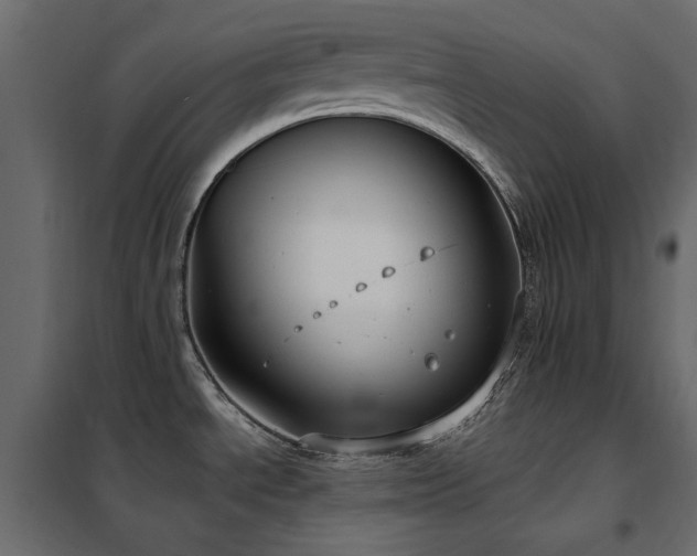 X0000102531534200808081439