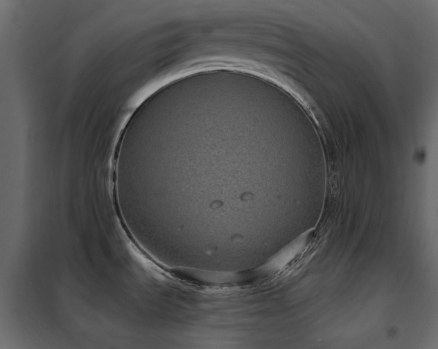 X0000102531535200808081439