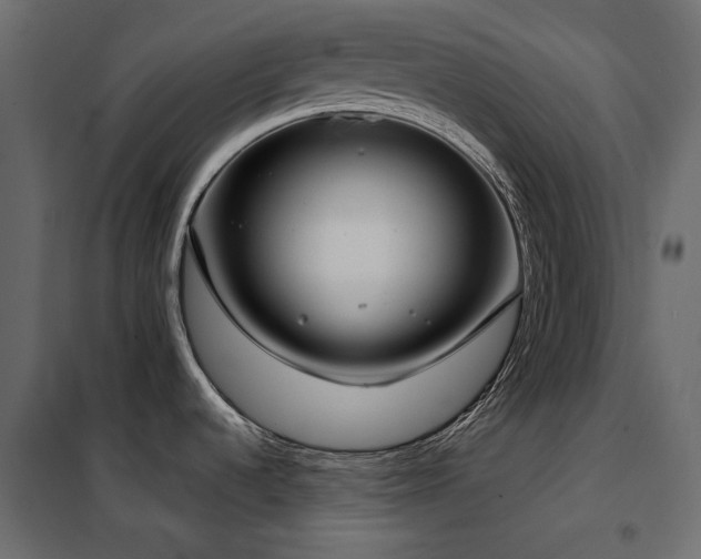 X0000102531536200808081439