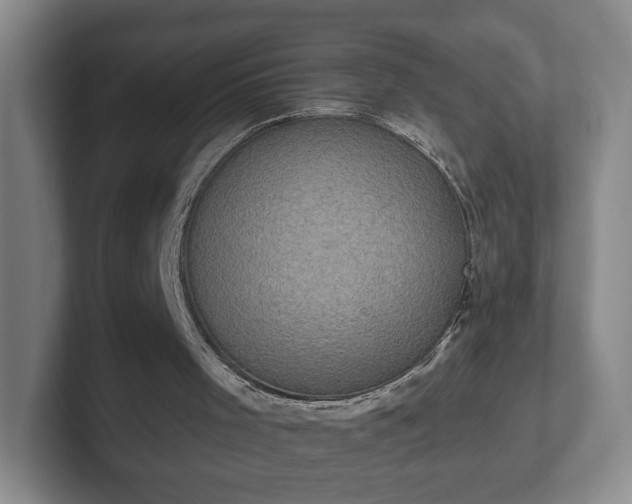 X0000102530001200808151606