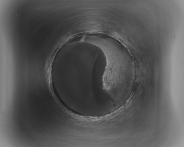 X0000102530002200808151606