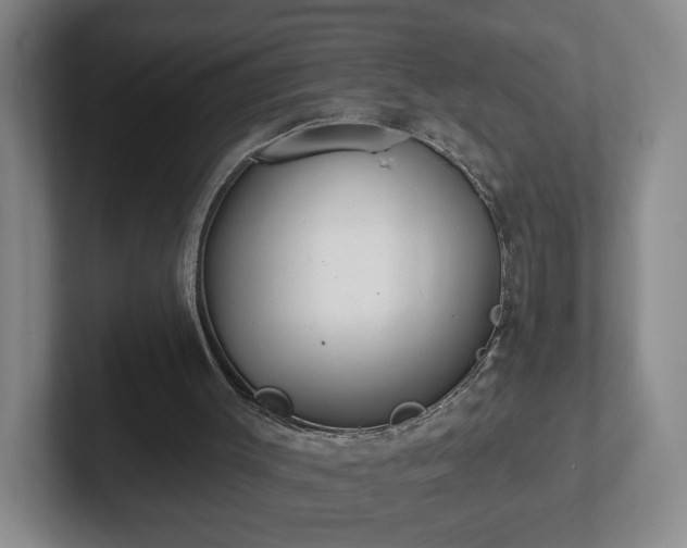 X0000102530003200808151606