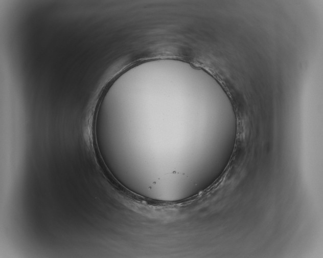 X0000102530004200808151606