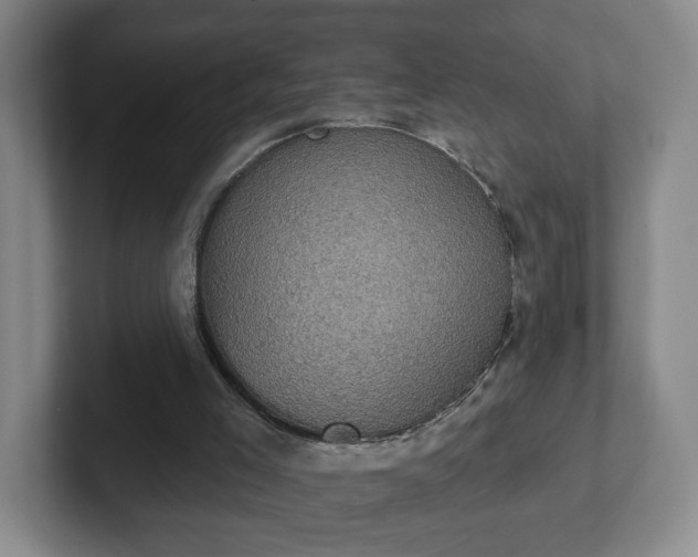 X0000102530005200808151606