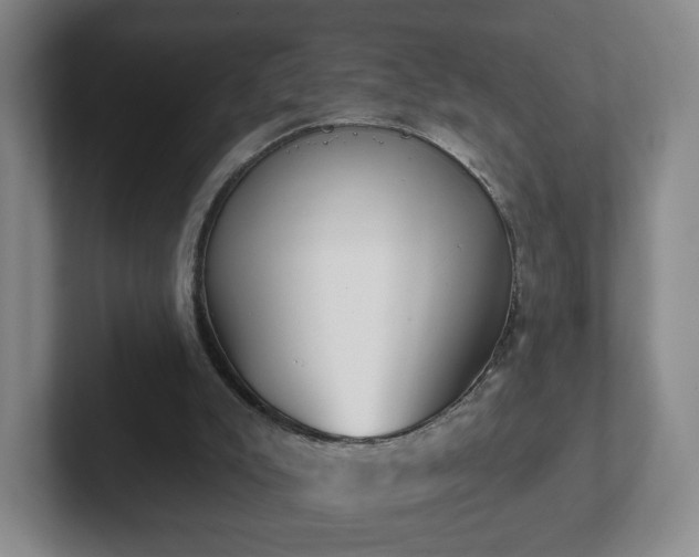 X0000102530007200808151606