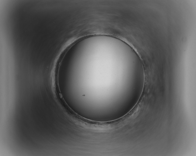 X0000102530008200808151606