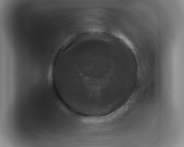 X0000102530009200808151606