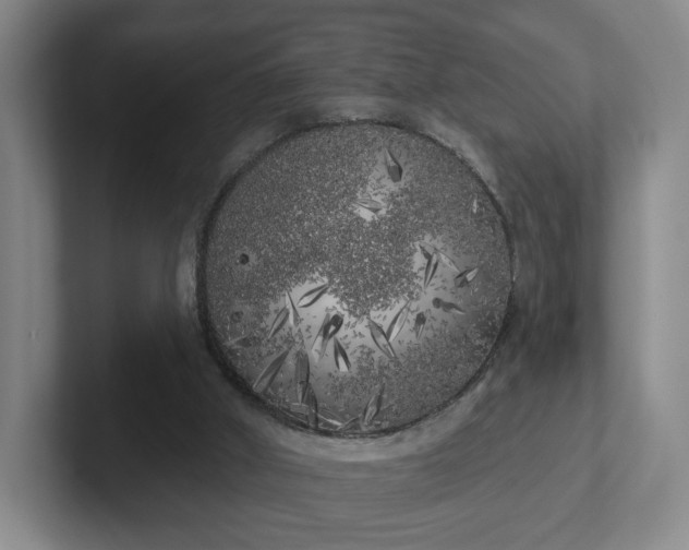 X0000102530010200808151606
