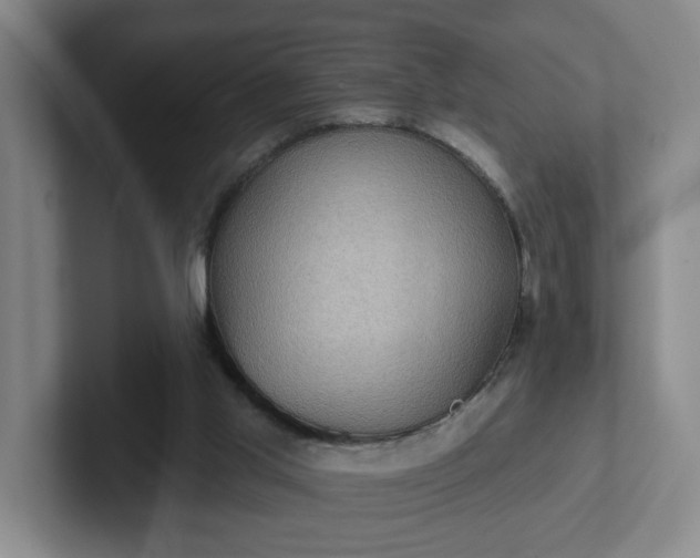 X0000102530013200808151606