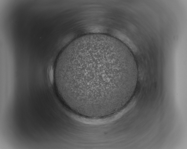 X0000102530014200808151605