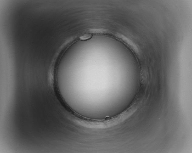 X0000102530015200808151605