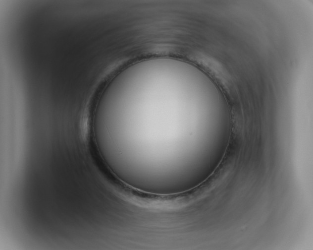 X0000102530016200808151605