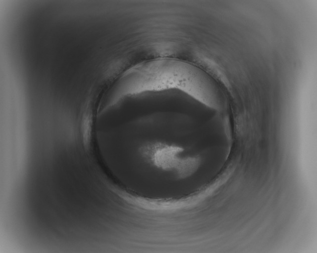 X0000102530018200808151605