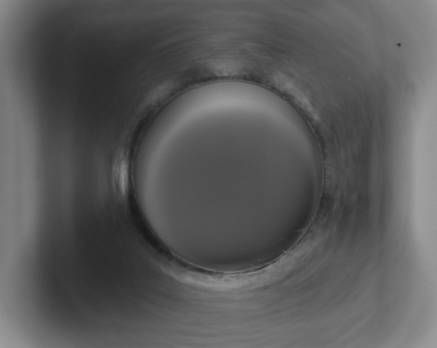 X0000102530019200808151605